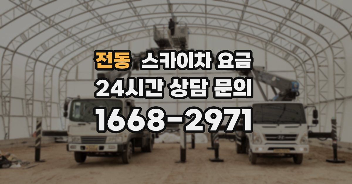 전동 스카이차 요금