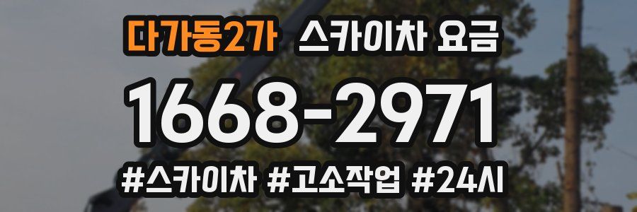다가동2가 스카이차 요금
