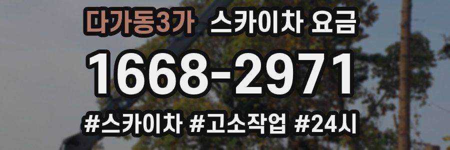 다가동3가 스카이차 요금