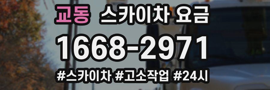 교동 스카이차 요금