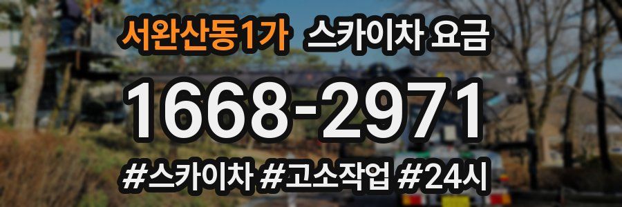 서완산동1가 스카이차 요금