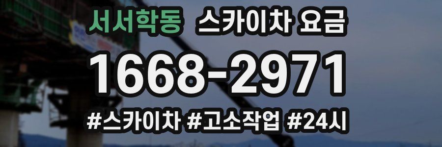 서서학동 스카이차 요금