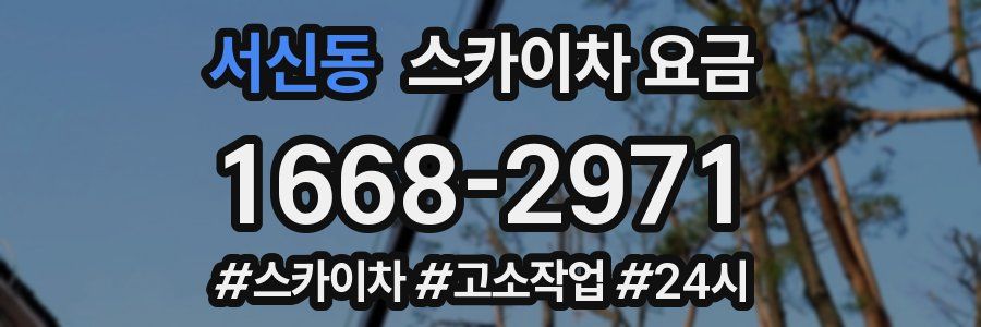 서신동 스카이차 요금