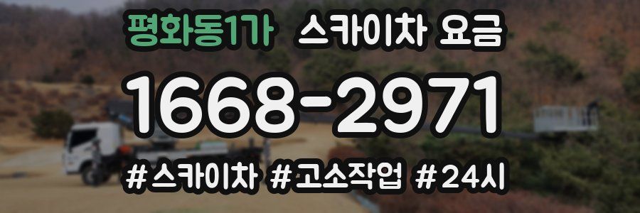 평화동1가 스카이차 요금