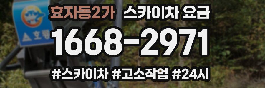 효자동2가 스카이차 요금