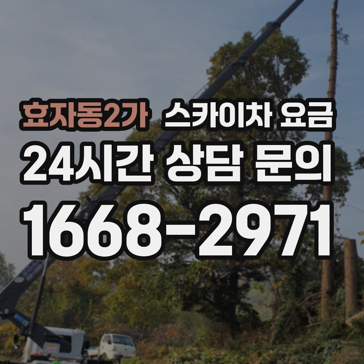효자동2가 스카이차 요금