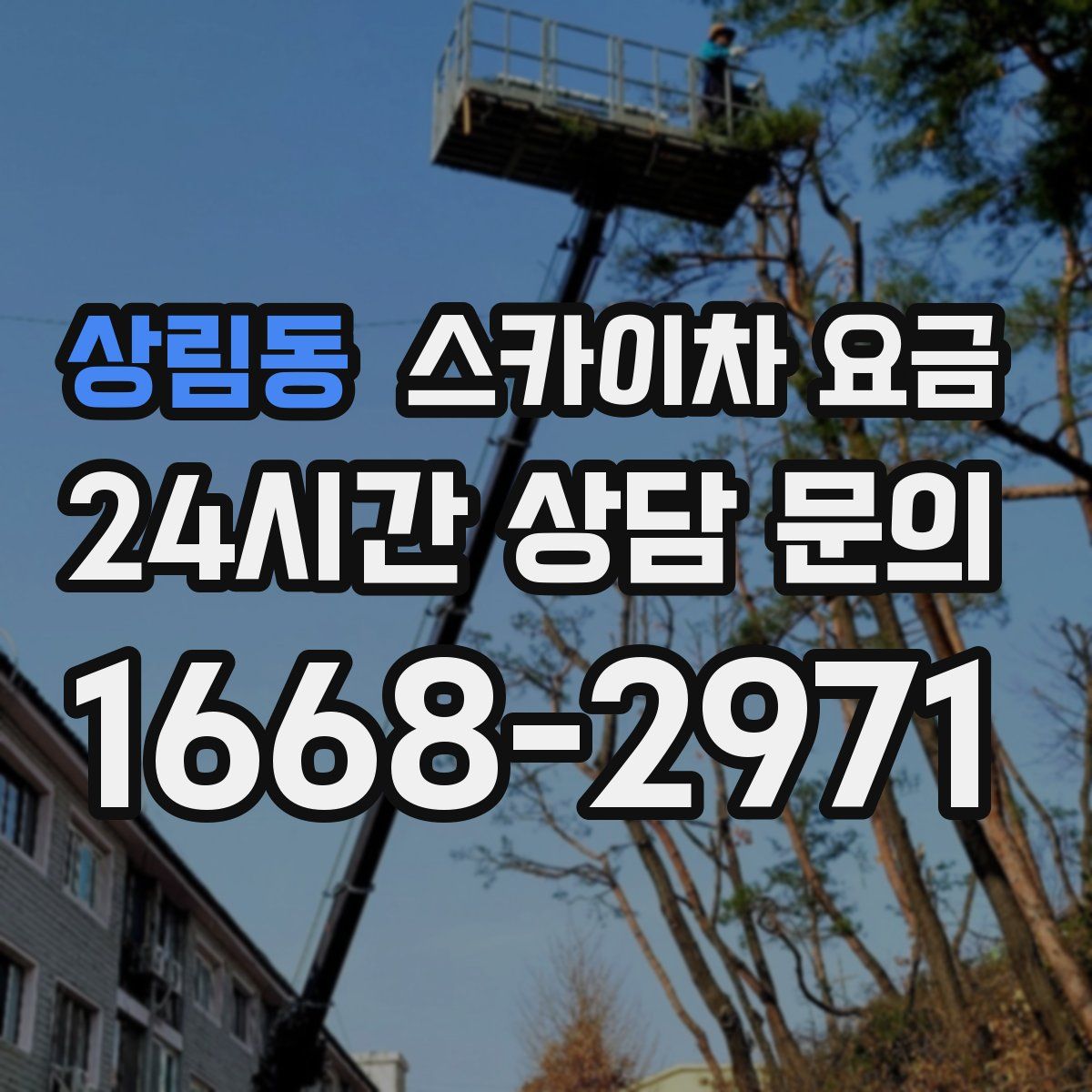 상림동 스카이차 요금
