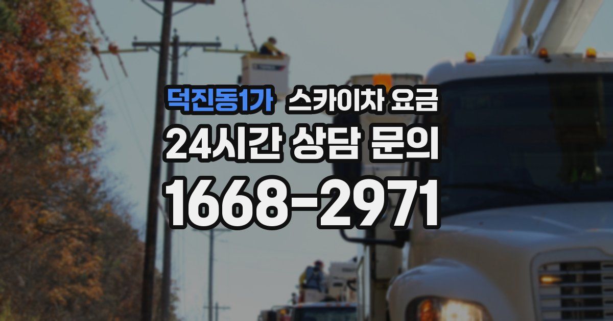 덕진동1가 스카이차 요금