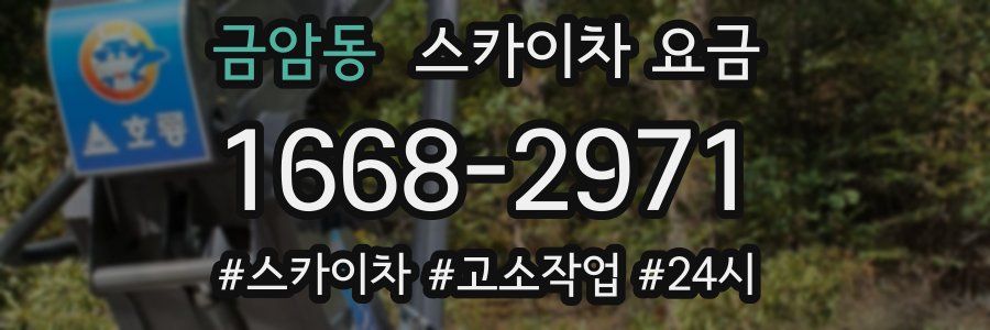 금암동 스카이차 요금