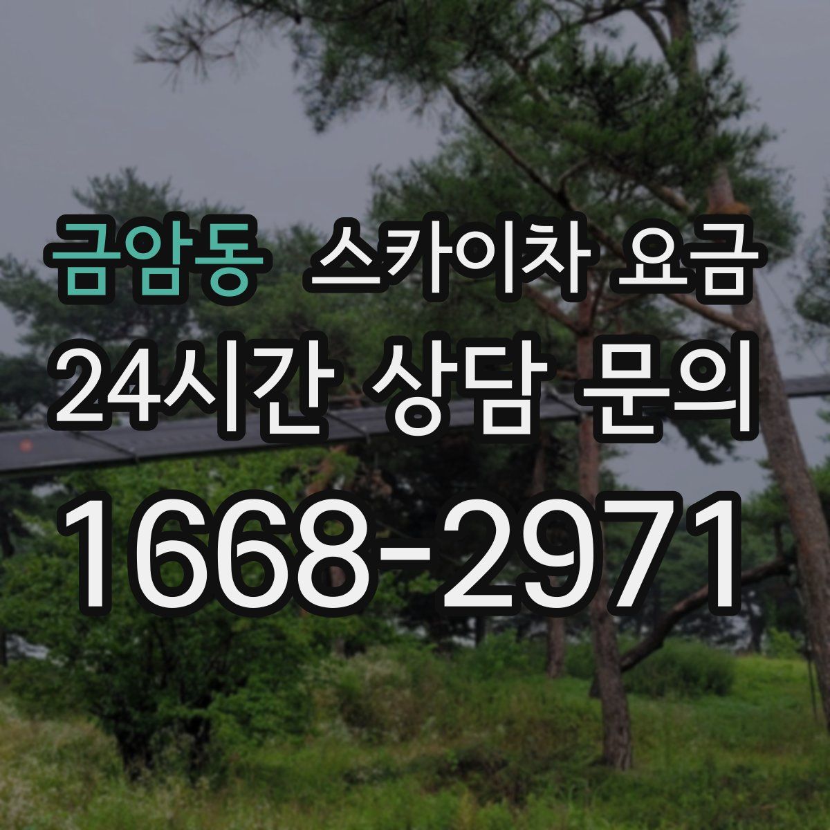 금암동 스카이차 요금