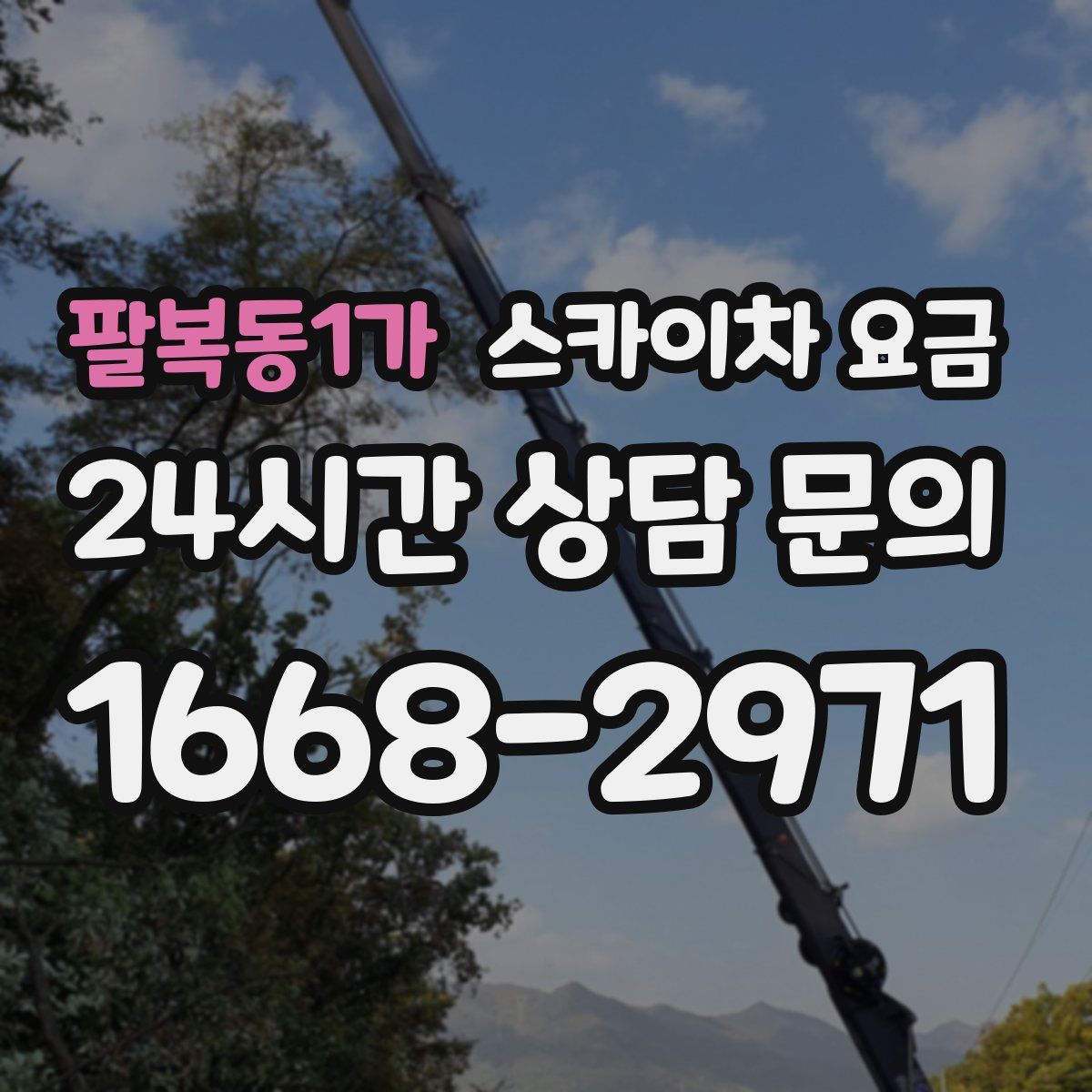 팔복동1가 스카이차 요금