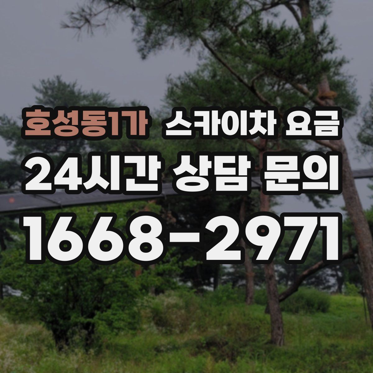 호성동1가 스카이차 요금