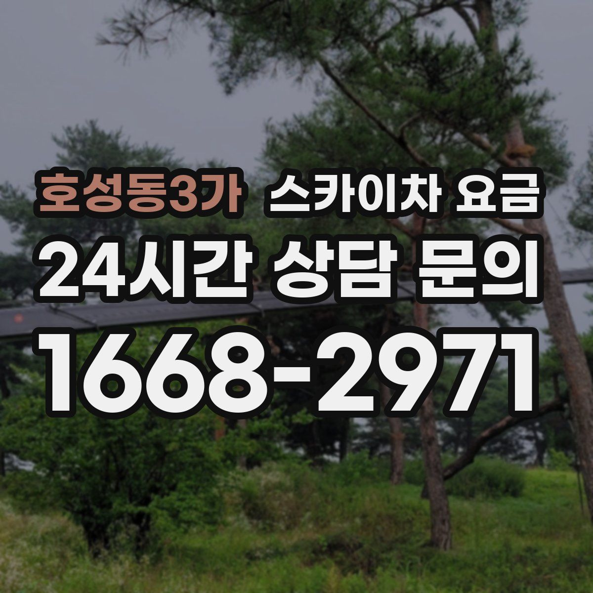 호성동3가 스카이차 요금