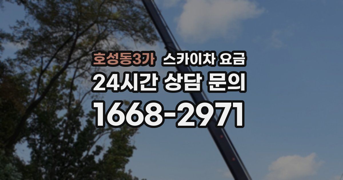 호성동3가 스카이차 요금