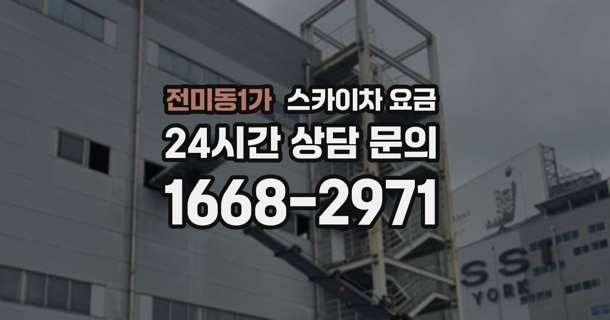 전미동1가 스카이차 요금