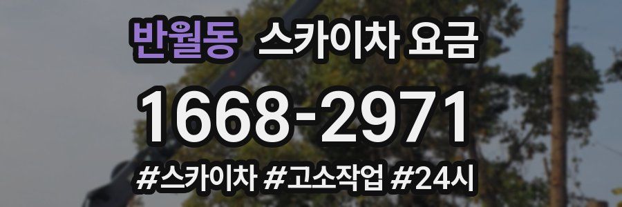 반월동 스카이차 요금