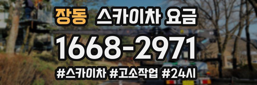 장동 스카이차 요금