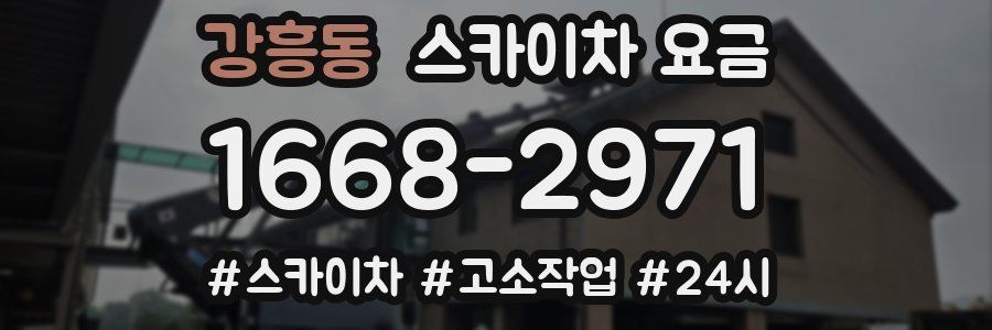 강흥동 스카이차 요금