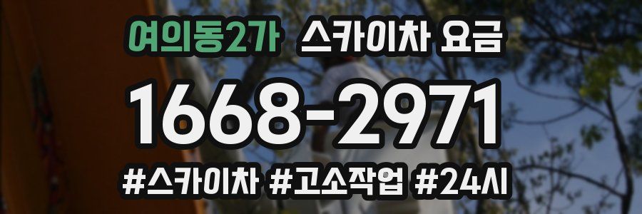 여의동2가 스카이차 요금