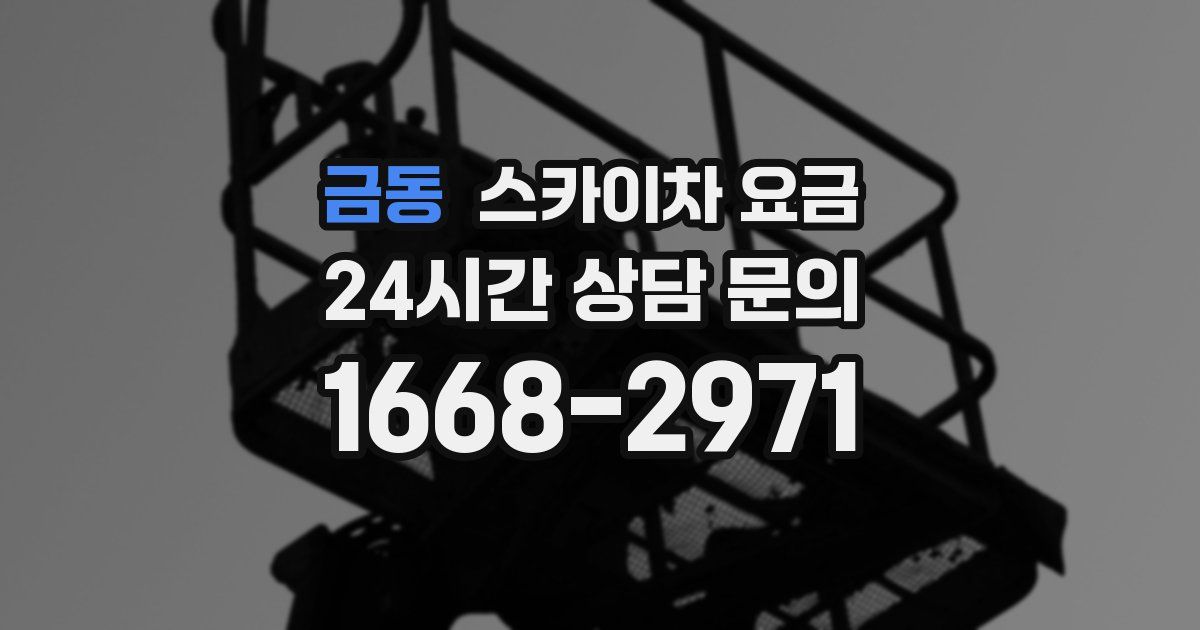 금동 스카이차 요금