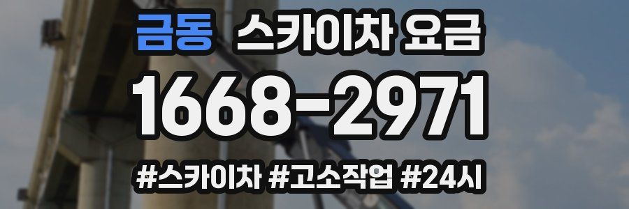금동 스카이차 요금