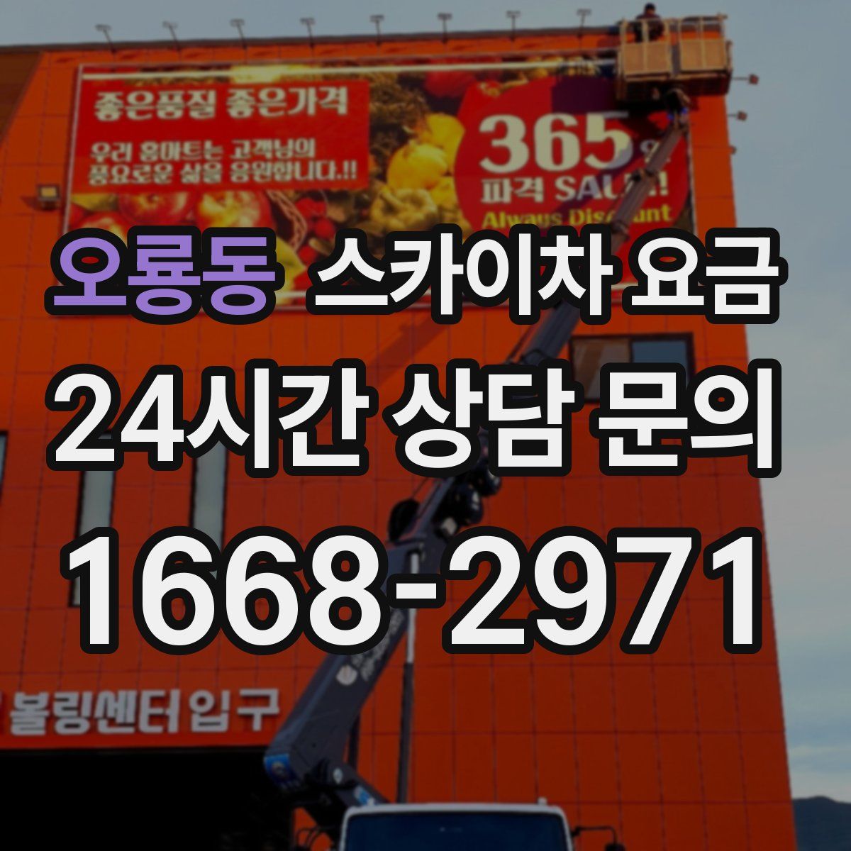 오룡동 스카이차 요금