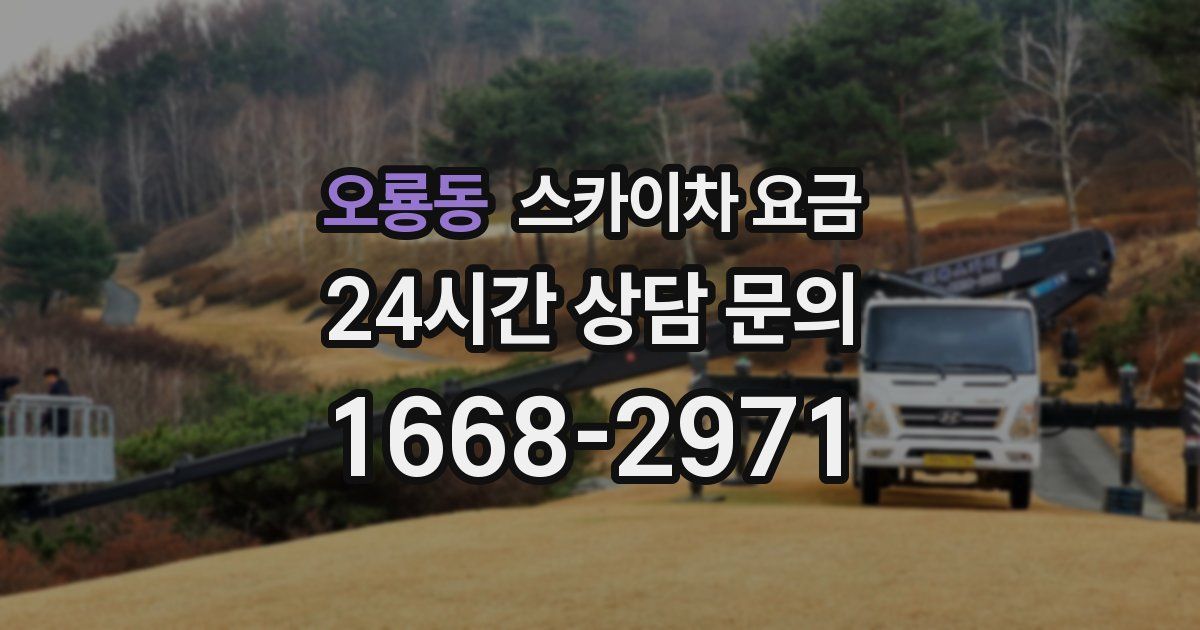 오룡동 스카이차 요금