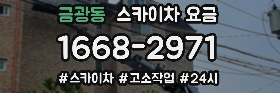 금광동 스카이차 요금