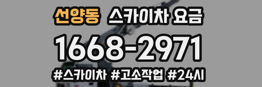 선양동 스카이차 요금