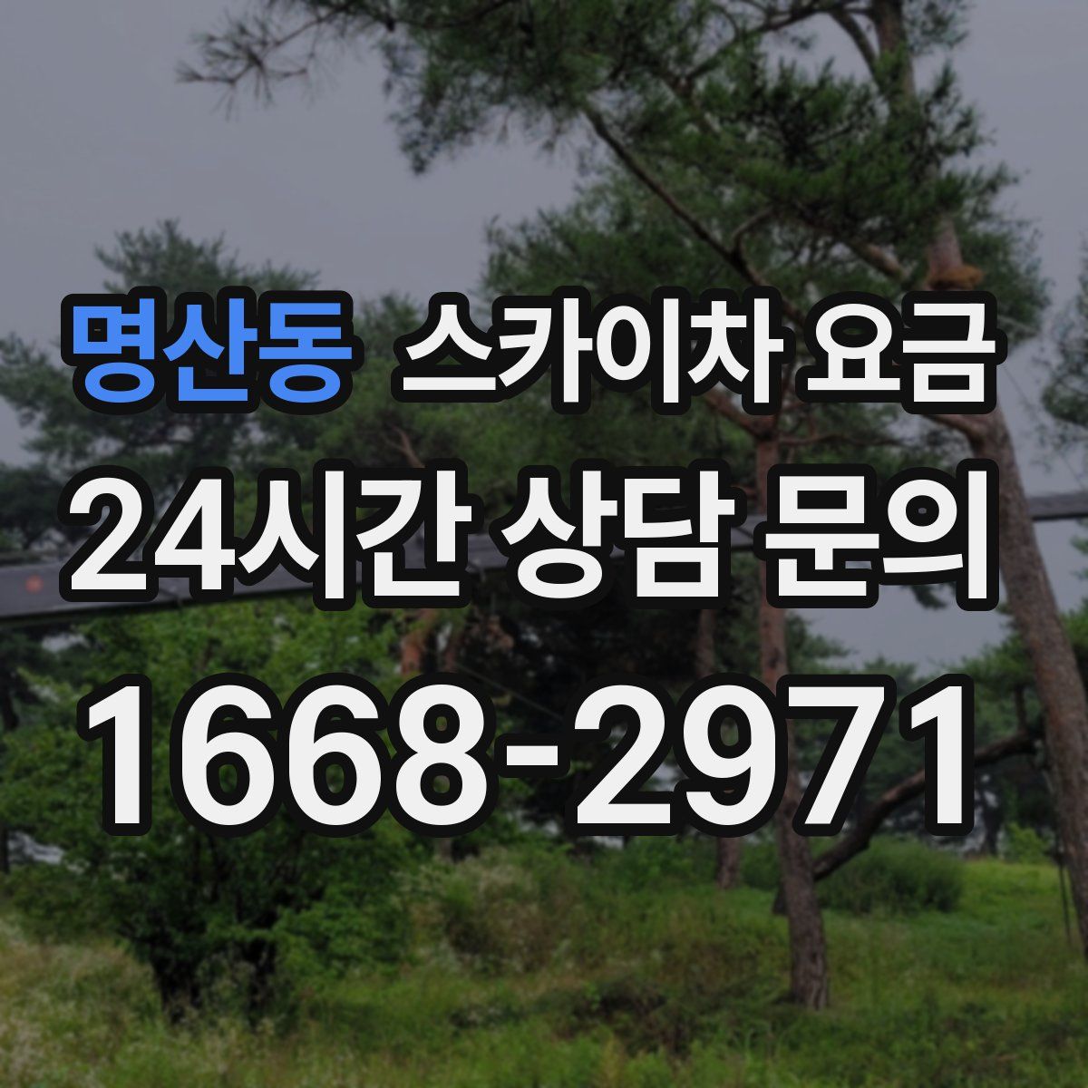 명산동 스카이차 요금