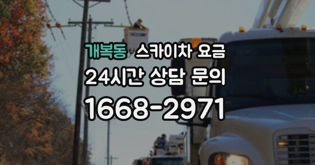 개복동 스카이차 요금