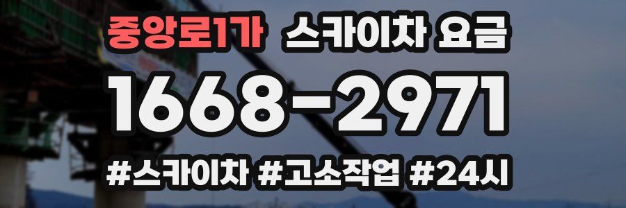 중앙로1가 스카이차 요금