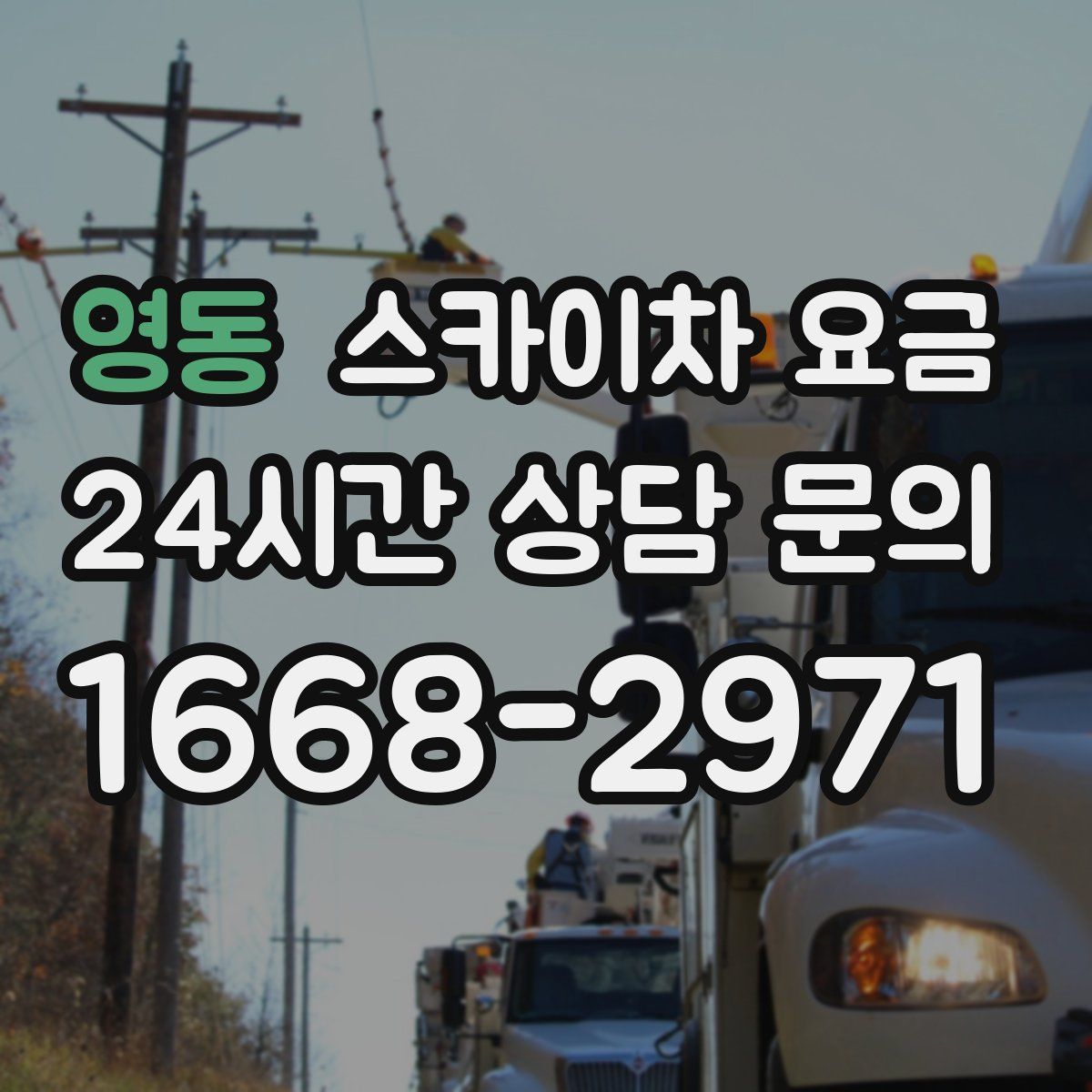 영동 스카이차 요금
