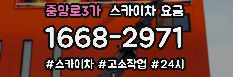 중앙로3가 스카이차 요금