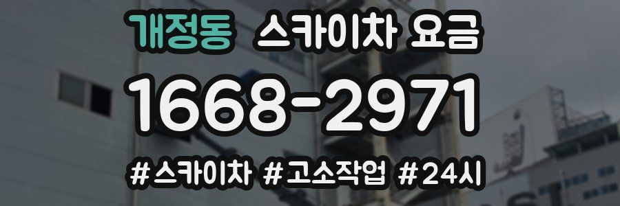 개정동 스카이차 요금
