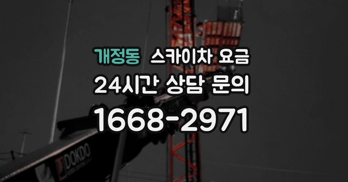 개정동 스카이차 요금