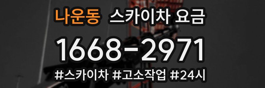 나운동 스카이차 요금