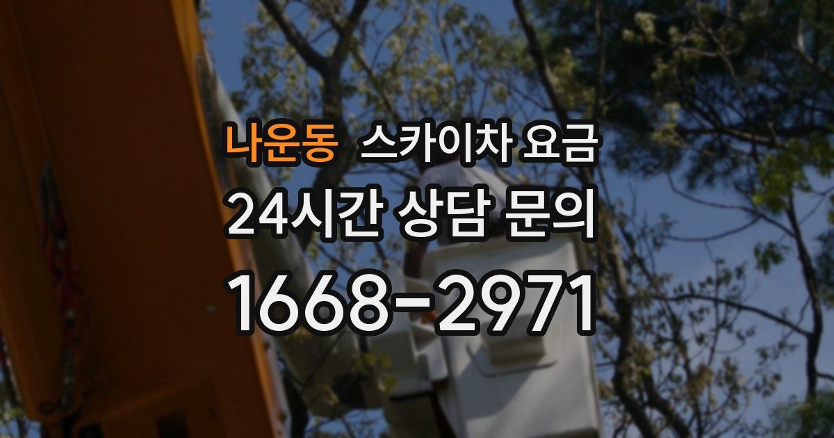 나운동 스카이차 요금