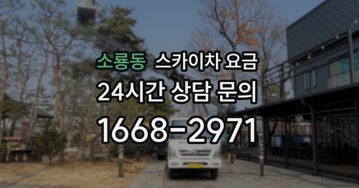 소룡동 스카이차 요금