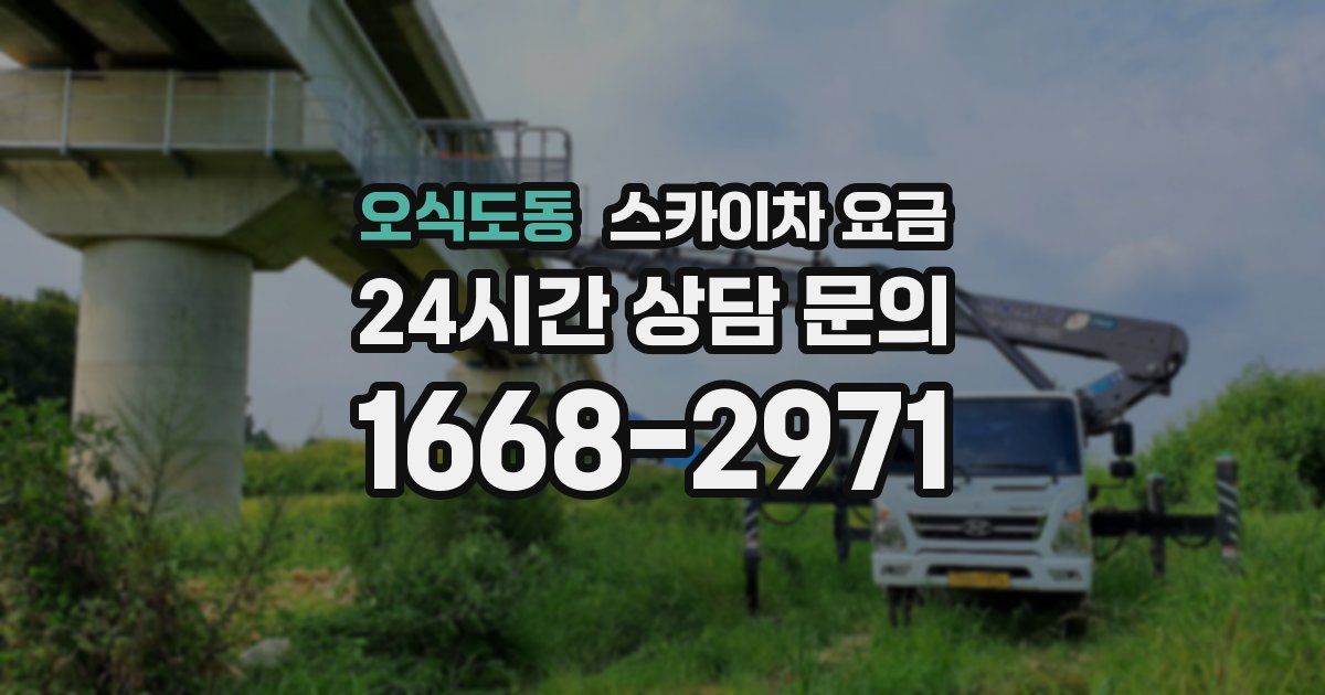 오식도동 스카이차 요금