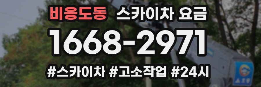 비응도동 스카이차 요금