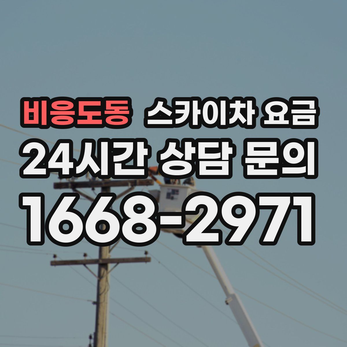 비응도동 스카이차 요금