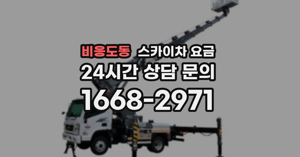 비응도동 스카이차 요금
