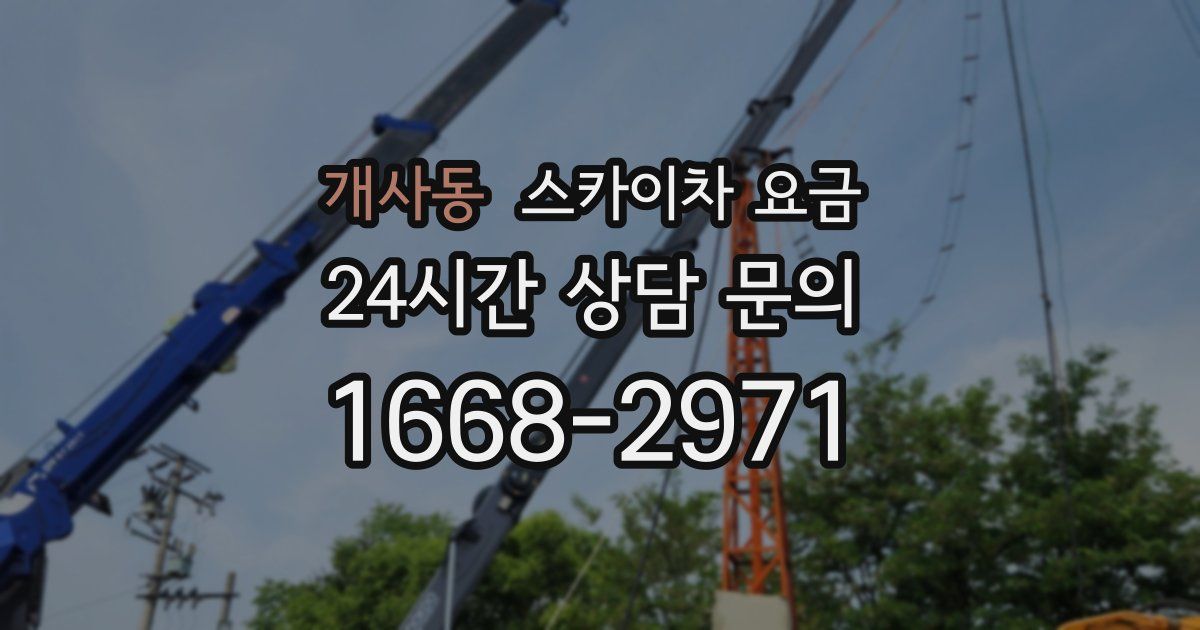 개사동 스카이차 요금