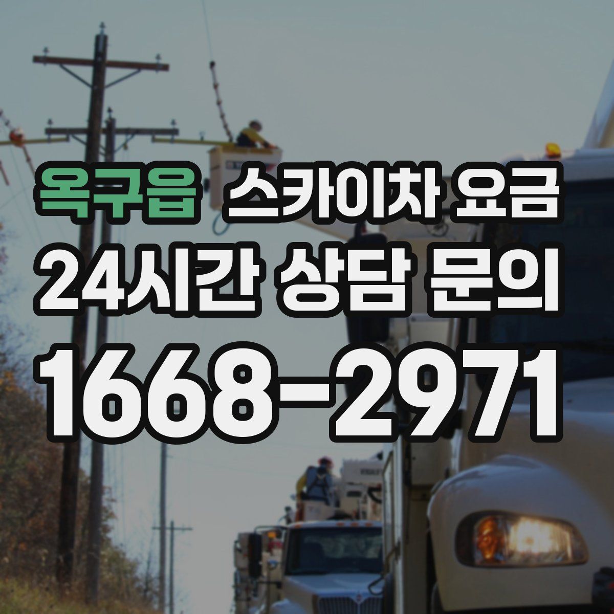 옥구읍 스카이차 요금