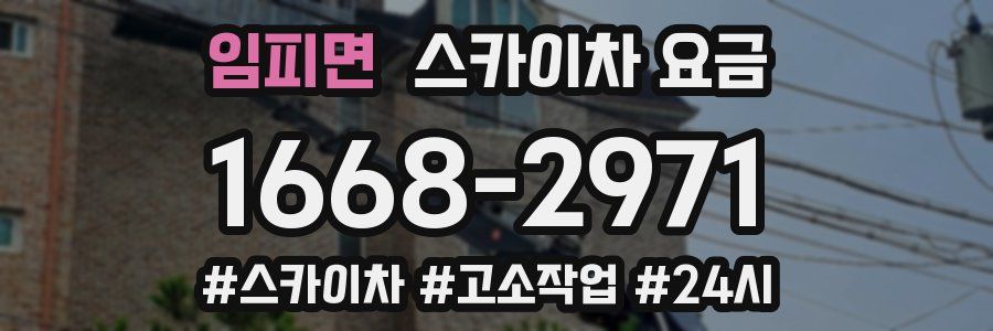 임피면 스카이차 요금