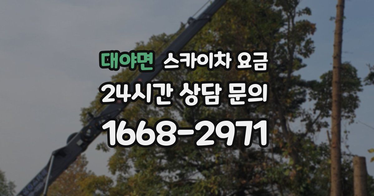 대야면 스카이차 요금