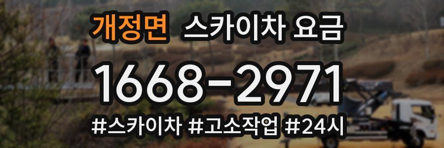 개정면 스카이차 요금