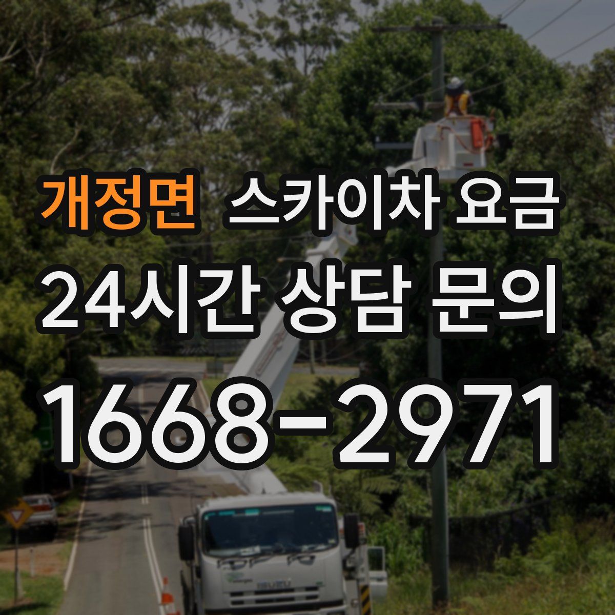 개정면 스카이차 요금