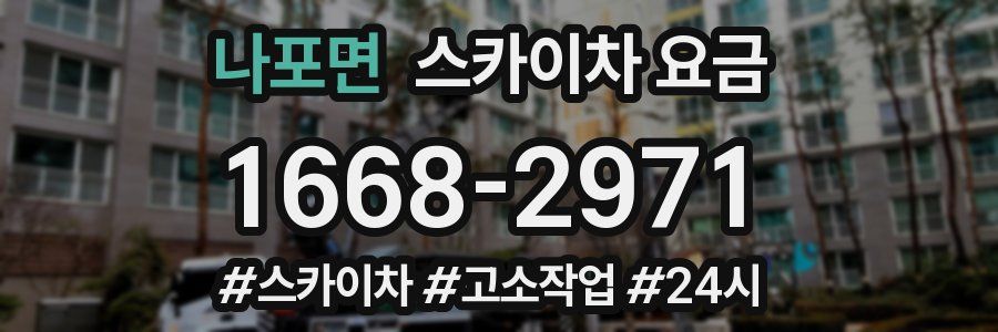 나포면 스카이차 요금